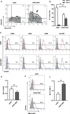 Human Decidual Stromal Cells in Early Pregnancy Induce Functional Re-Programming of Monocyte-Derived Dendritic Cells via Crosstalk Between G-CSF and IL-1β